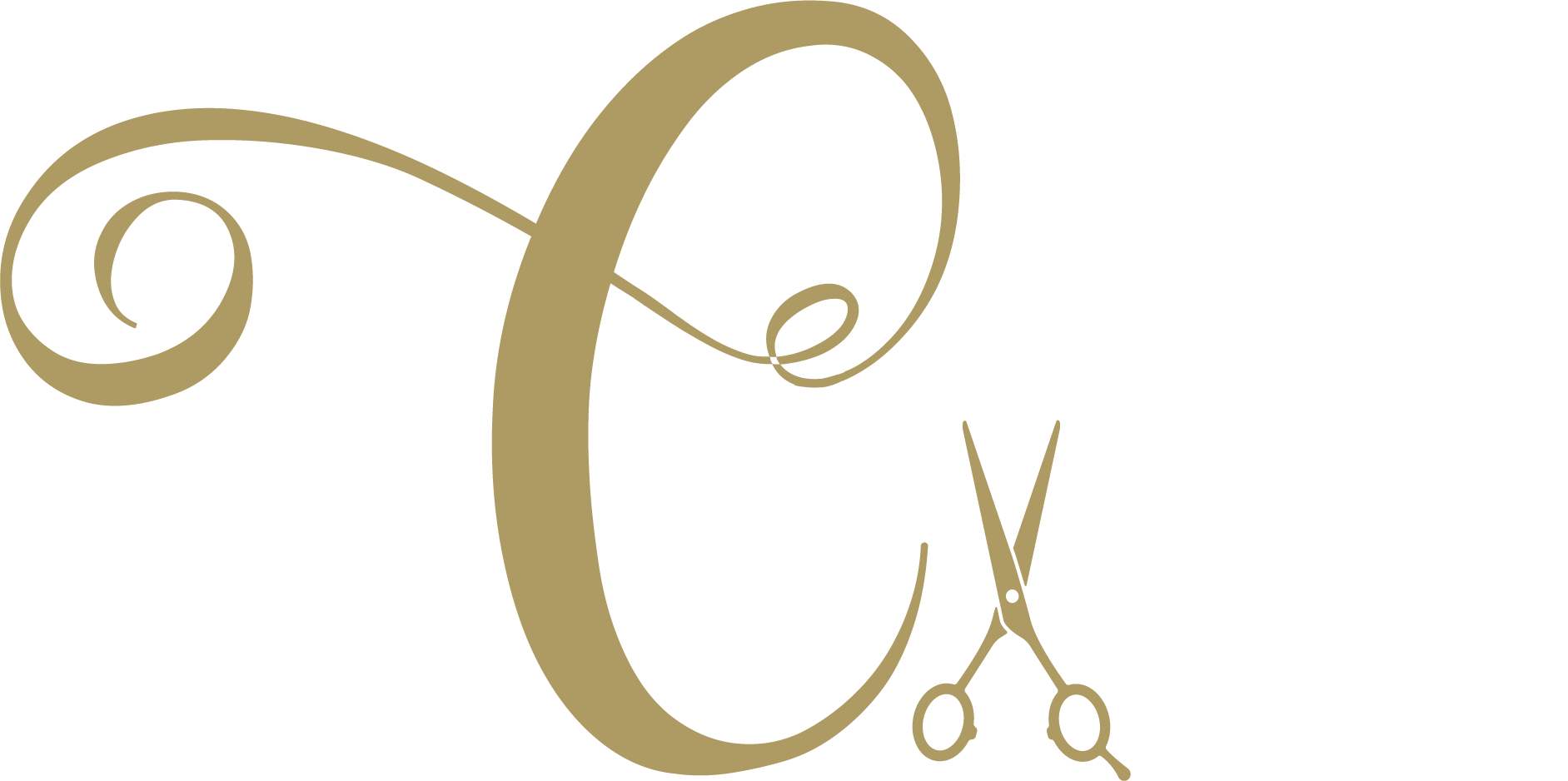 Logo C-style kapsalon Langemark
